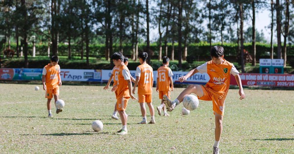 OK9 cược thể thao